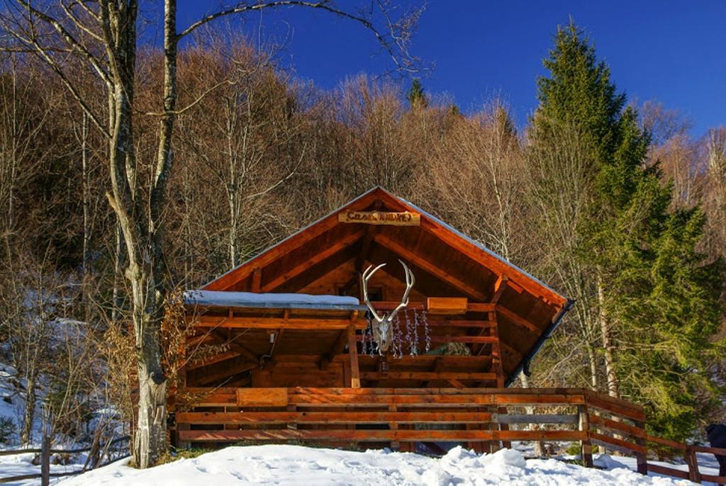 Cabana Casa Craita Zărneşti Zimmer foto