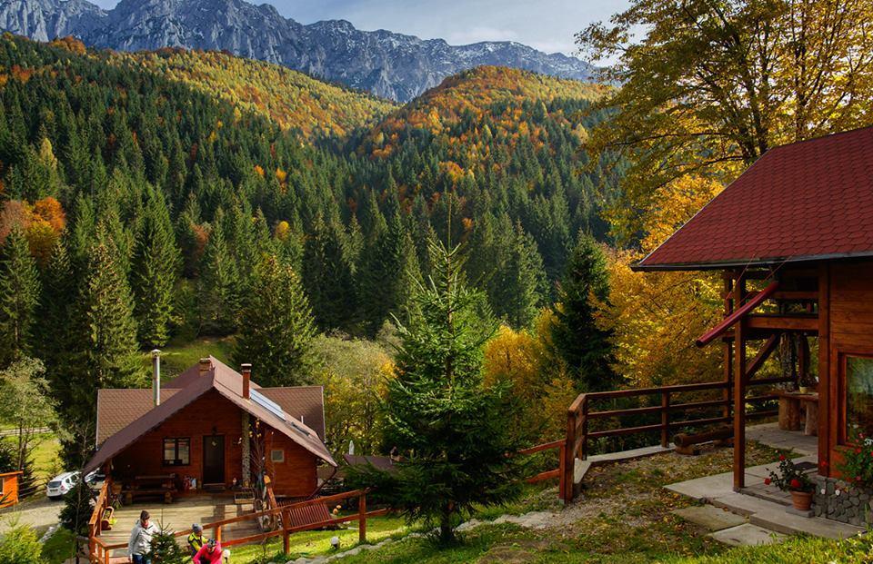 Cabana Casa Craita Zărneşti Exterior foto