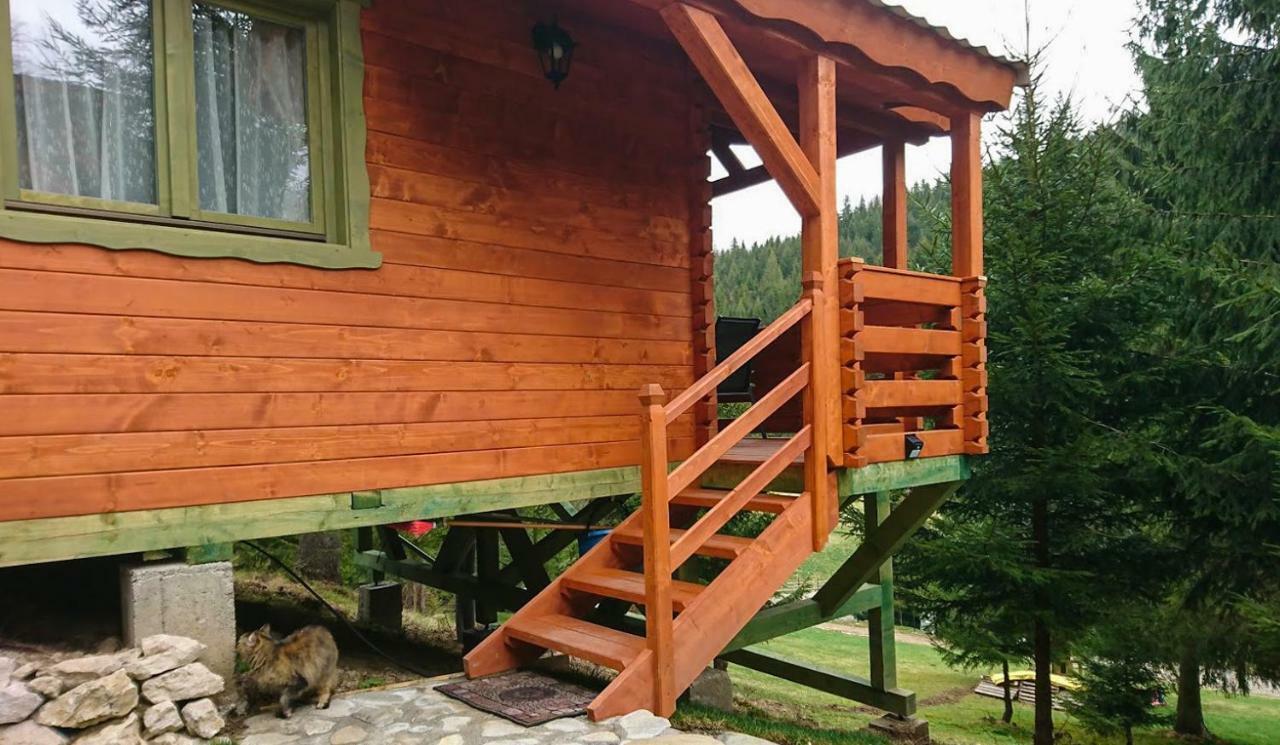 Cabana Casa Craita Zărneşti Exterior foto