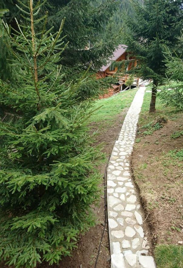 Cabana Casa Craita Zărneşti Exterior foto
